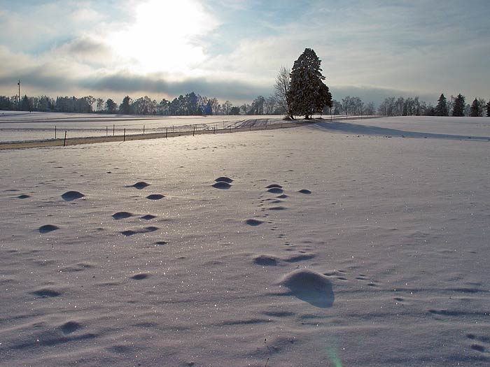 Die Umgebung im Winter