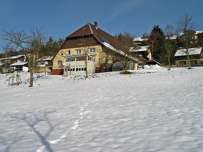 Ferienhof Bühler im Winter